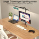 Dual-Head LED Desk Lamp with Adjustable Gooseneck and Remote product