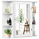 Mirrored Wall-Mounted Bathroom Vanity product