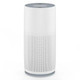 Console Air Purifier with True HEPA Filter product