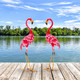 Flamingo Garden Statue Set (2-Pack) product