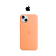 Apple iPhone 15 Plus Silicone Case with MagSafe  product