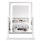 Laromni Lighted Vanity Mirror product