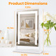 Laromni Lighted Vanity Mirror product