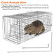 iMounTEK Collapsible Animal Trap Cage product