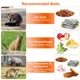 Imountek Collapsible Animal Trap Cage product