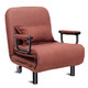 Convertible Foldout Reclining Arm Chair product