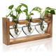 Desktop Plant Propagation Station product