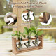 Desktop Plant Propagation Station product