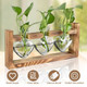 Desktop Plant Propagation Station product