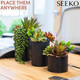 Artificial Succulents with Pots (3-Pack) product