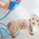 Pet Shower Attachment product
