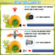 Baseball Snail Water Sprinkler  product