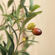 Artificial Olive Tree (6FT)  product