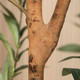 Artificial Olive Tree (6FT)  product
