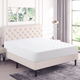 Super Soft Quilted Fitted Mattress Topper product