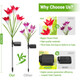 Solar Powered Garden Flowers with Lights (4-Pack) product