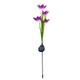 Solar Powered Garden Flowers with Lights (4-Pack) product