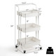 3-Tier Utility Cart Storage Rolling Cart with Casters product
