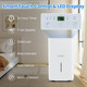 Energy Star Dehumidifier with 2 Modes and 3 Fan Speeds product