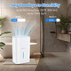 Energy Star Dehumidifier with 2 Modes and 3 Fan Speeds product