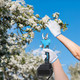 Pruning Shear with Extension Pole product
