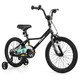 Kids Training Bike with Removable Training Wheels and Dual Brake System product