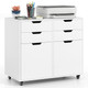 4-Drawer File Cabinet with Adjustable Metal Hinges product