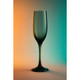 Epure Glass Drinkware Collection (Set of 4) product