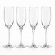 Epure Glass Drinkware Collection (Set of 4) product