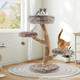 Modern Cat Tree with Pear Wood Trunks and Scratching Posts product
