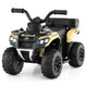 6V Ride-On Electric ATV with Integrated Sound System product