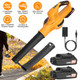 Dual Speed Cordless Leaf Blower product