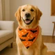 Adjustable Halloween Pet Bandana For Dogs And Cats product