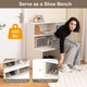 2-in-1 Storage Entryway Shoe Cabinet Bench product