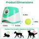 Automatic Dog Ball Launcher product