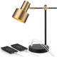 Rumi Lighting 17 in. Brass Gold and Black Lamp with USB Ports product