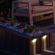 Solar Powered Outdoor Edge Light (2- Pack) product