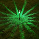 Color Changing Solar Garden Path Lights (10 Pieces) product