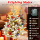 Lighted Christmas Trees (Set of 2) product