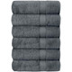 Simple Elegance Plush Bath Towel (6-Pack) product