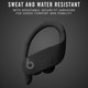 Powerbeats  Pro  Wireless  Earbuds  product