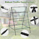 Cucumber Trellis  product