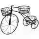 3-Tier Tricycle Plant Stand  product