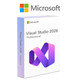 Microsoft Visual Studio Professional 2026 - Digital Delivery product