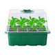 Seed Starter Tray with Grow Light (5-Pack) product