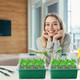 Seed Starter Tray with Grow Light (5-Pack) product