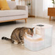 Automatic Pet Water Fountain product