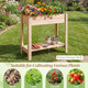 Wooden Raised Garden Bed  product