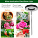 LED Plant Grow Light  product