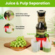 Electric Cold Press Juicer Machine product